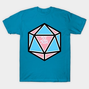 Trans Pronoun Pride D20 Xe / Xir T-Shirt